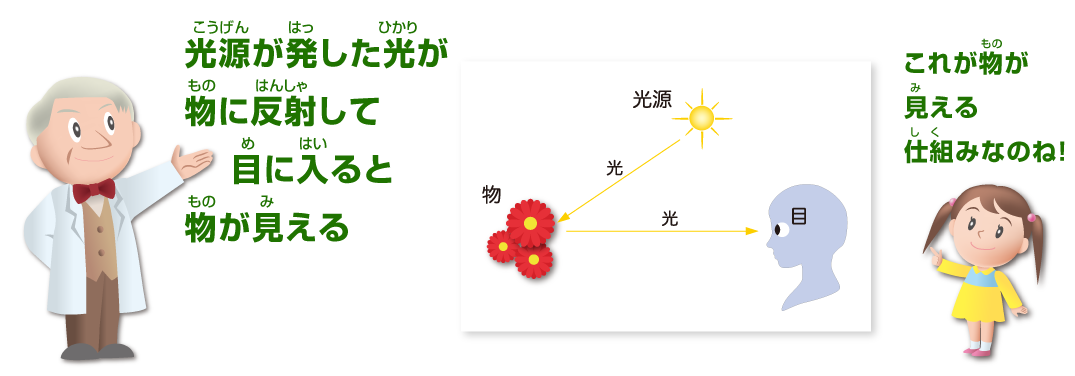 光源が発した光が物に反射して目に入ると物が見える